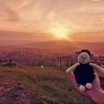 Czarna Owca Bed & Breakfast