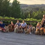 Bed & Breakfast Czarna Owca Istebna