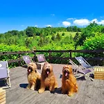 Czarna Owca 3* Istebna