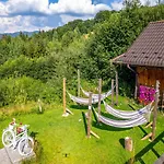 Czarna Owca