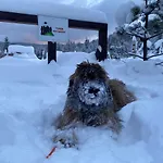 Bed & Breakfast Czarna Owca 3*