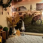 Bed & Breakfast Czarna Owca 3*