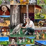 Bed & Breakfast Czarna Owca 3*