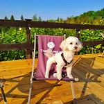 Bed & Breakfast Czarna Owca Istebna