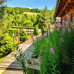 Czarna Owca Bed & Breakfast