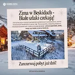 Czarna Owca 3*