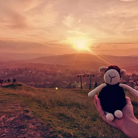 Czarna Owca Bed & Breakfast