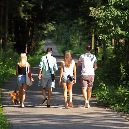 Bed & Breakfast Czarna Owca