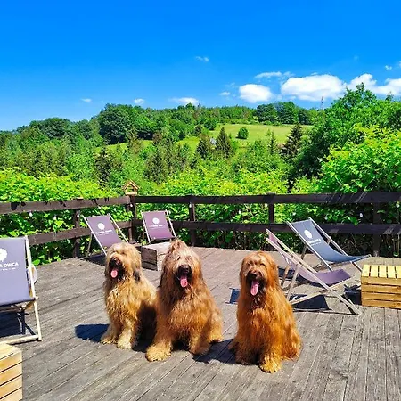 Czarna Owca 3* Istebna