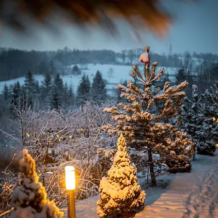 Czarna Owca Bed & Breakfast 3*