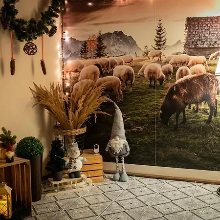 Bed & Breakfast Czarna Owca 3*