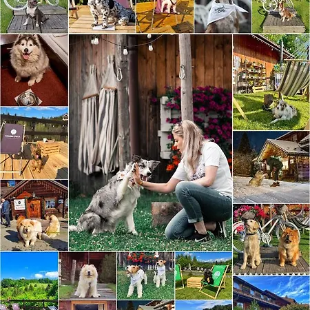 Nocleg ze śniadaniem Czarna Owca 3*