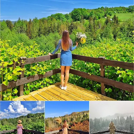 Czarna Owca Bed & Breakfast 3*