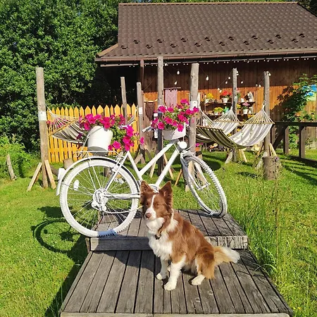 Czarna Owca 3*