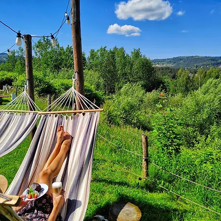 Bed & Breakfast Czarna Owca 3*