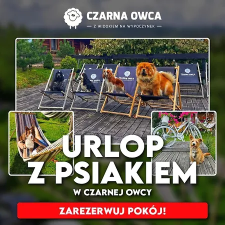 Czarna Owca Istebna