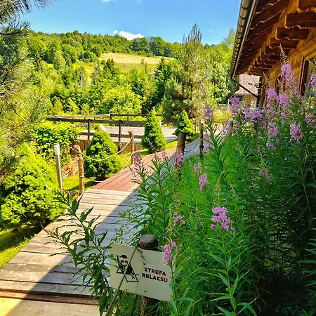 Czarna Owca Bed & Breakfast