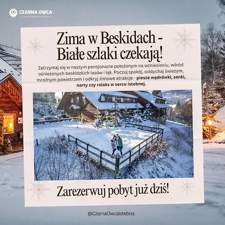 Czarna Owca 3*