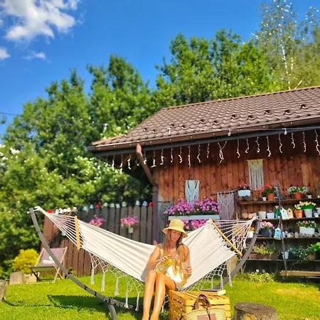 Czarna Owca