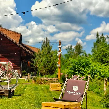 Czarna Owca Couette-café Istebna