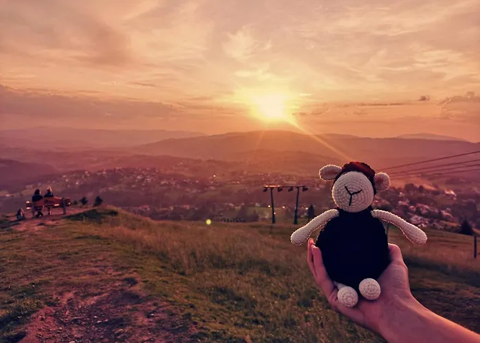 Czarna Owca Bed & Breakfast