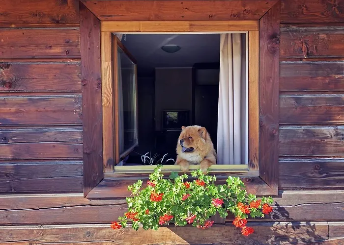 Czarna Owca Bed & Breakfast Istebna