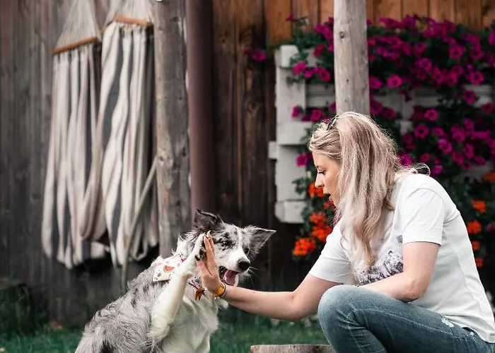 Oda ve Kahvaltı Czarna Owca Istebna