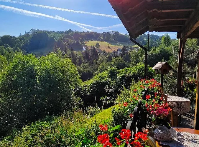 Czarna Owca Oda ve Kahvaltı Istebna