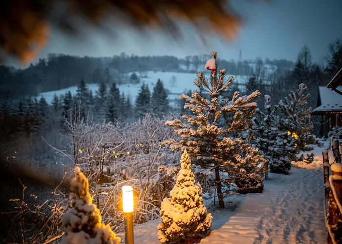 Czarna Owca Отель типа 