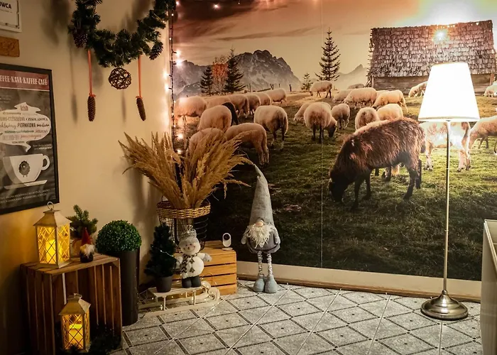 Bed & Breakfast Czarna Owca 3*