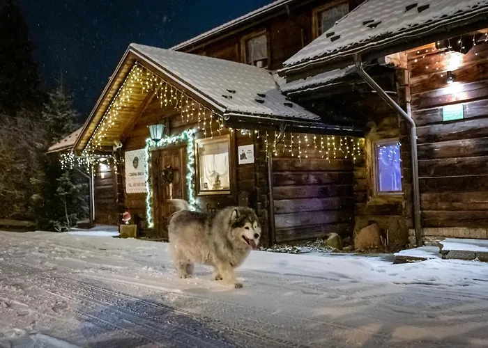 Czarna Owca Bed & Breakfast