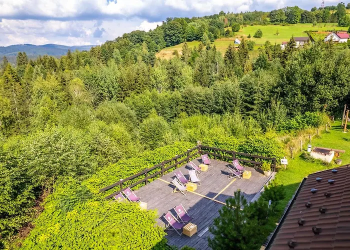 Czarna Owca Bed & Breakfast