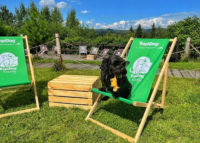 Czarna Owca Истебна