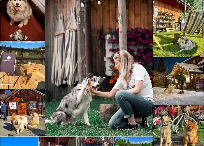 Couette-café Czarna Owca 3*