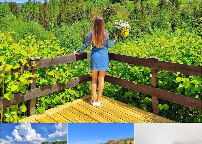 Czarna Owca Bed & Breakfast 3*