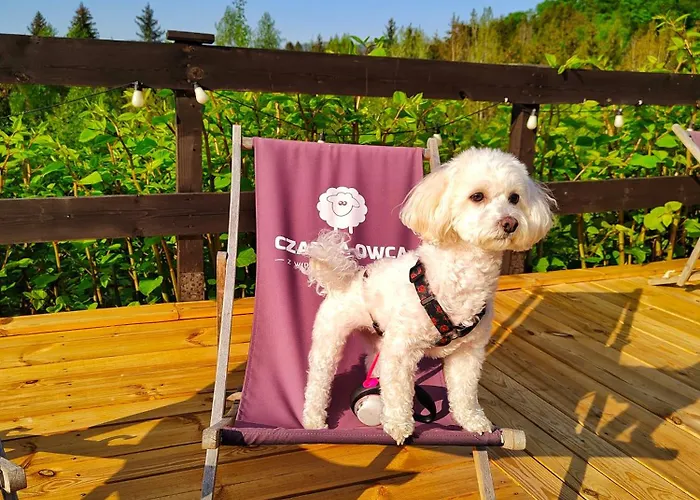 Bed & Breakfast Czarna Owca Istebna