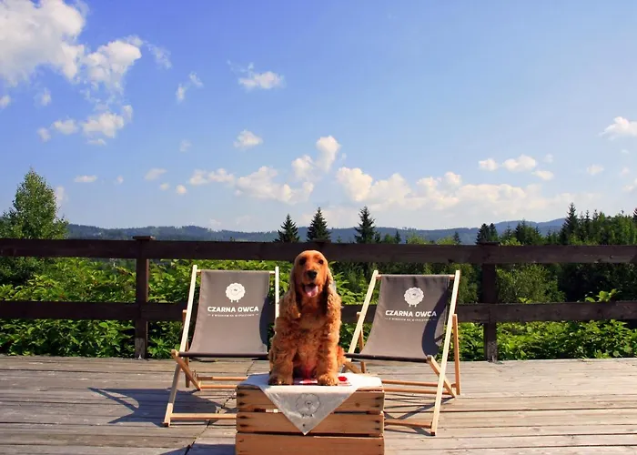 Czarna Owca Oda ve Kahvaltı 3*